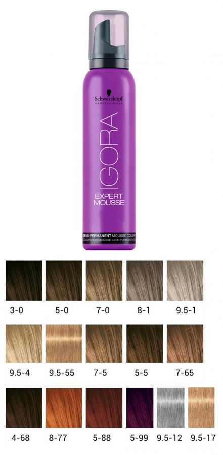 Igora Expert Mousse Rainbow Room International